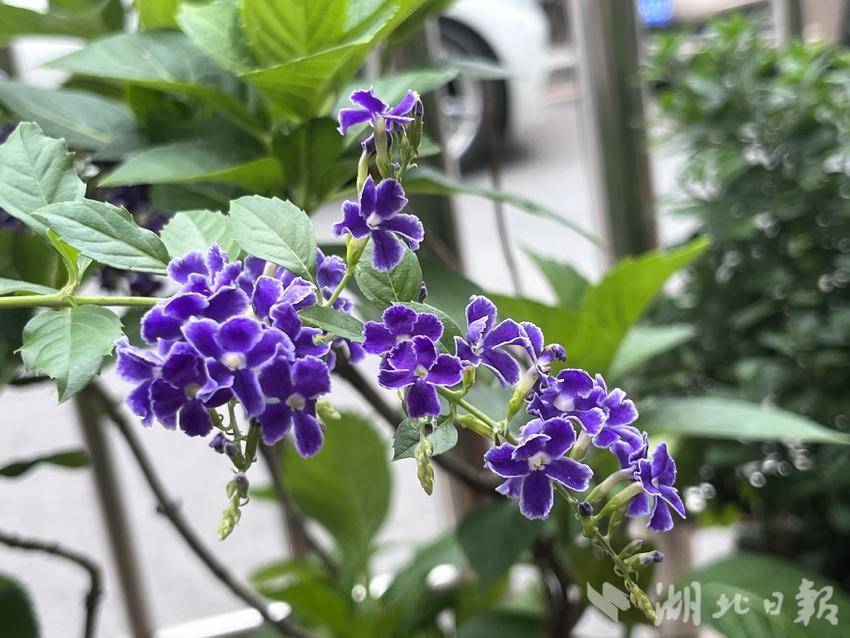 开户赠金50无需入金